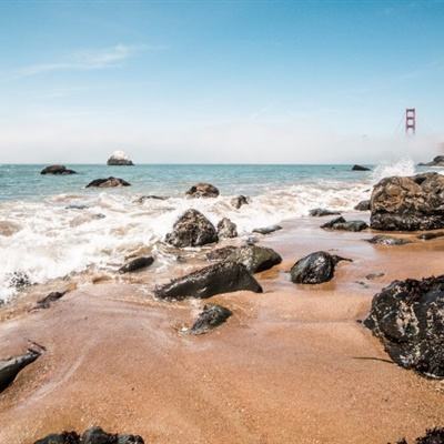 荒岛贵族游戏下载